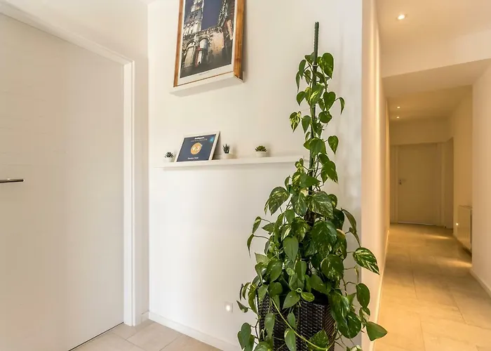 Pansion Casa